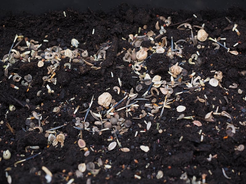 Mystical Potting Mix