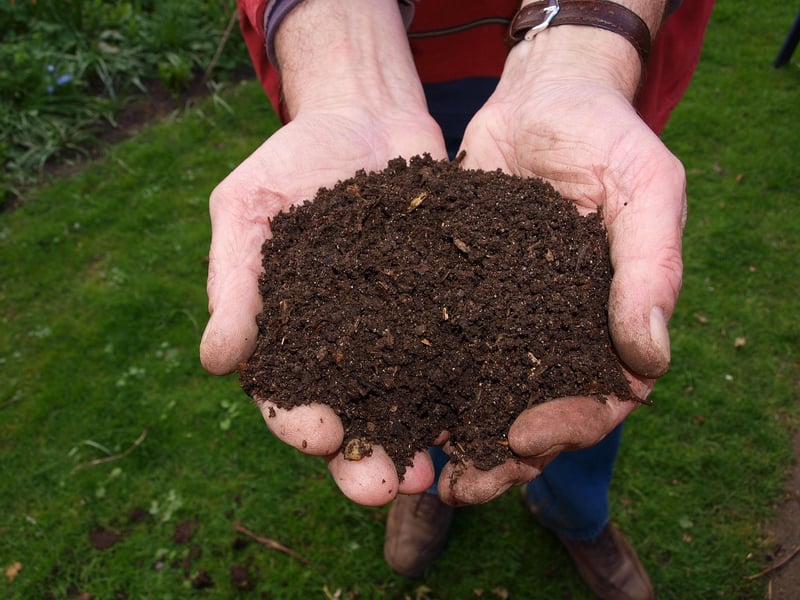Spellbound Compost