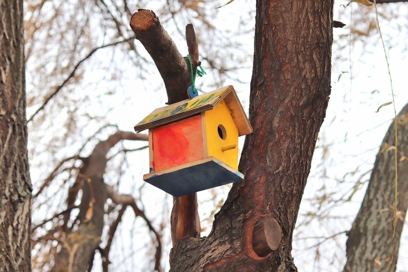 Enchanted Birdhouse